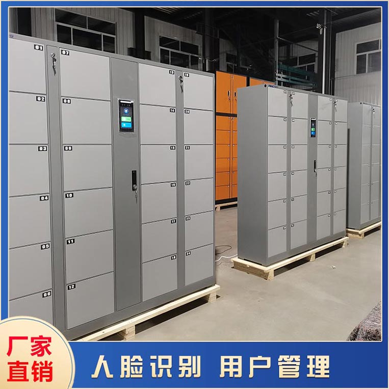 智能儲物柜定制原則是什么?【天瑞恒安】